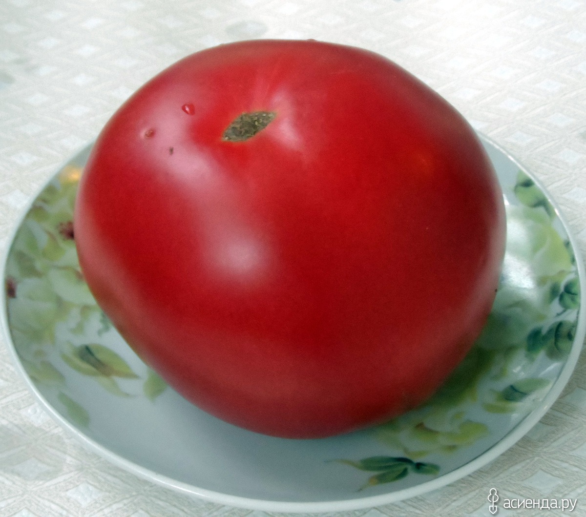 Семена томатов Минусинские шары
