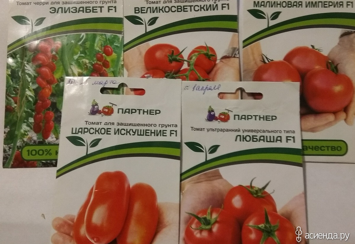 Семена Партнер В Красноярске Где Купить