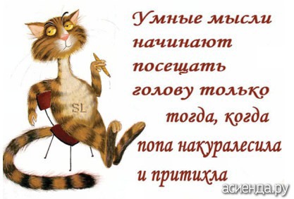 Посетила мысль. Умные мысли начинают посещать голову. Умные мысли начинают посещать голову лишь тогда. Умные мысли начинают посещать голову лишь. Умные мысли начинают посещать голову лишь тогда картинка.