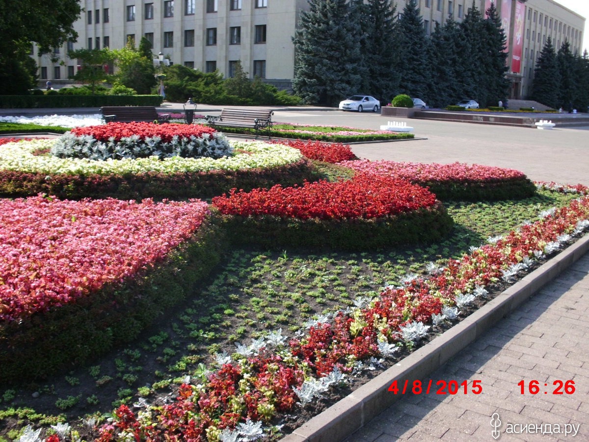 Ставрополь площадь Ленина цветочные клумбы