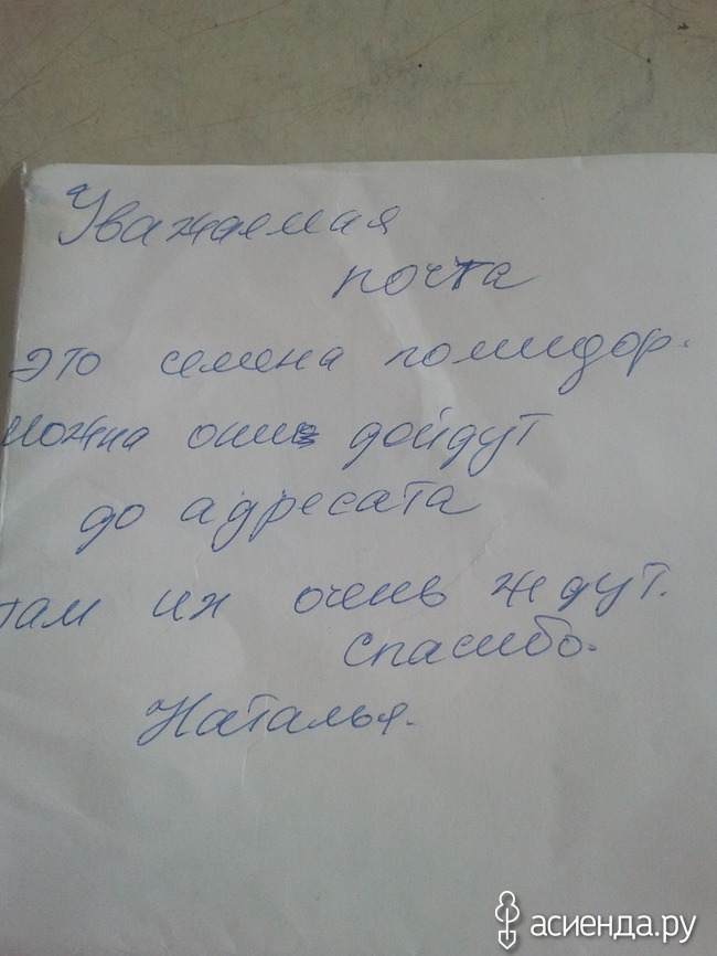 Записки к ксении петербуржской как писать образец