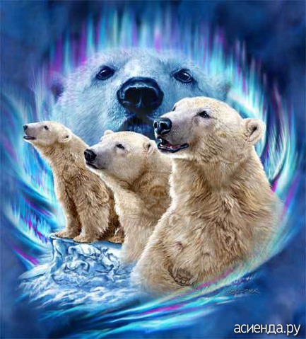 10 POLAR BEARS