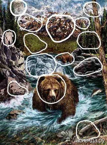 14 BEARS