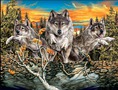 14 WOLVES