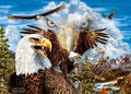 15 EAGLES