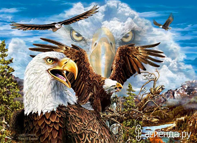 15 EAGLES