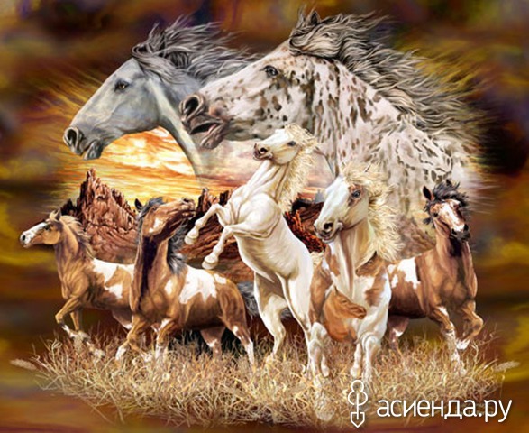 15 HORSES