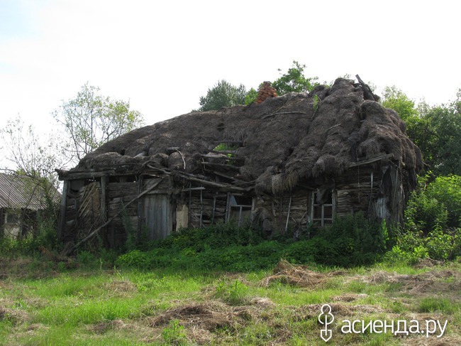 Что означает слово кучугуры