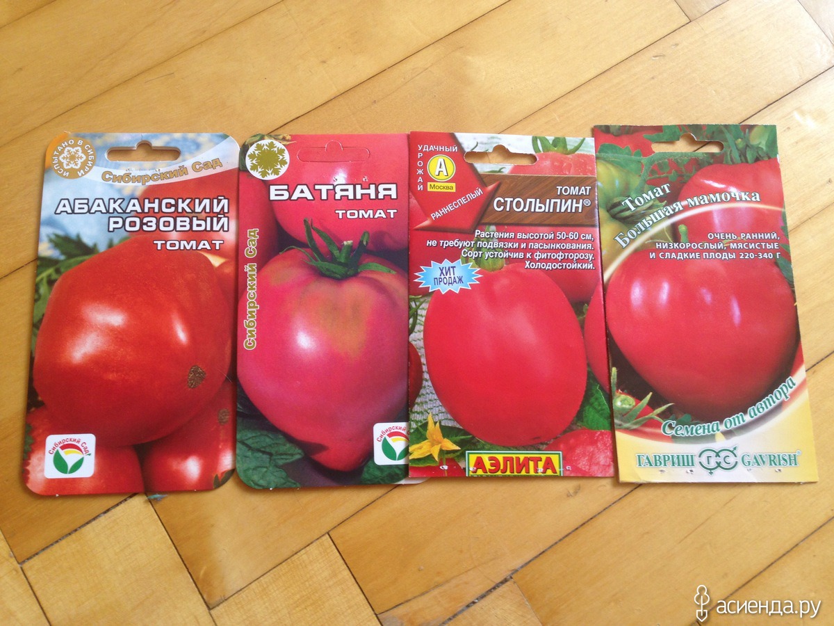 Семена томат Столыпин
