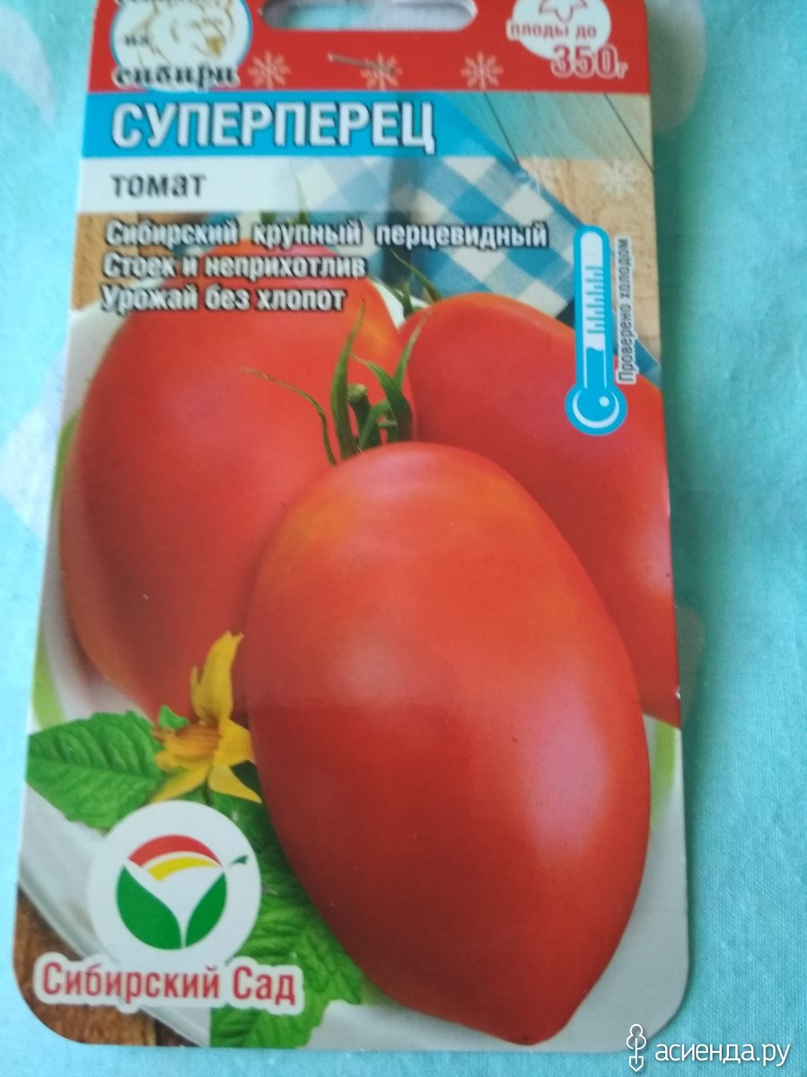 любаша помидоры фото