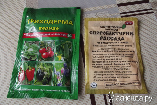 Препараты с сенной палочкой для растений названия и фото